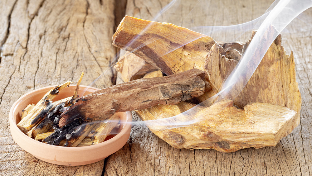 Che Legno è Il Palo Santo Il Palo Santo simbolo mistico di purificazione spirituale - Casa del